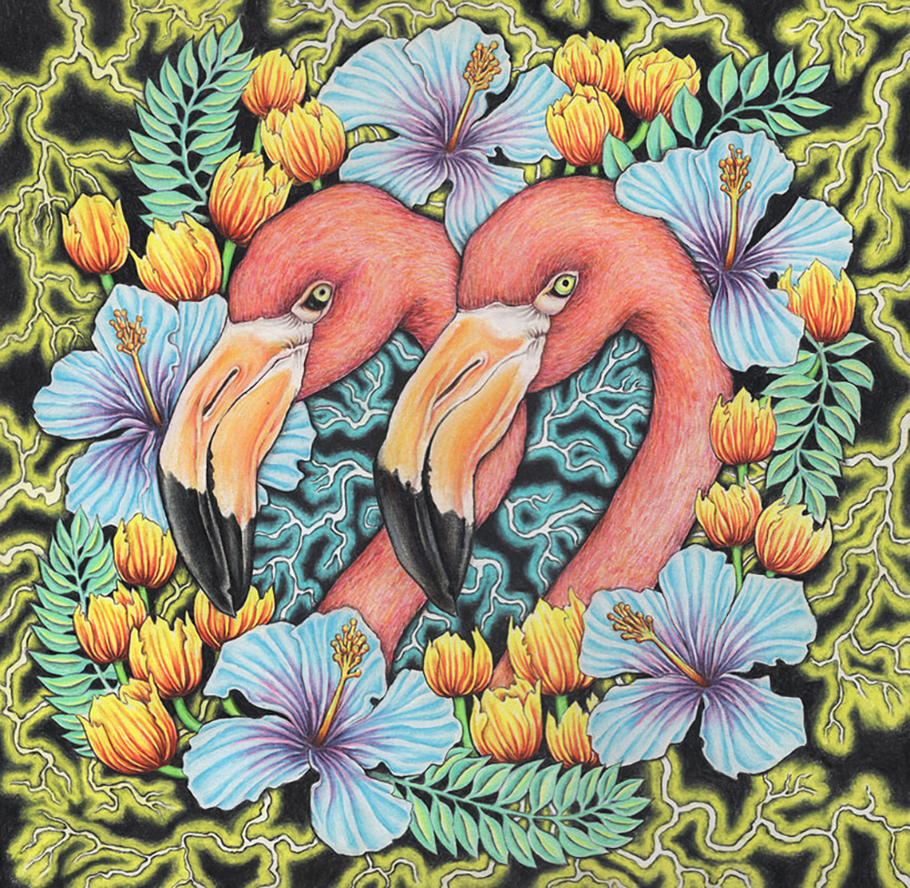 Carousel Image number 1