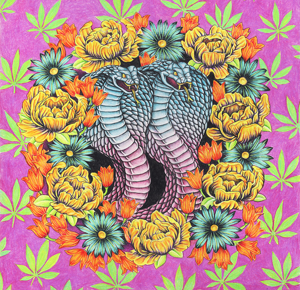 Carousel Image number 7