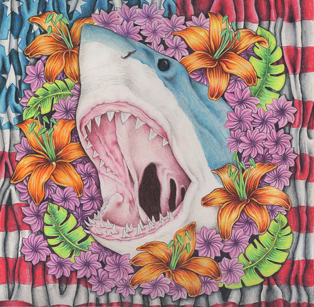 Carousel Image number 17