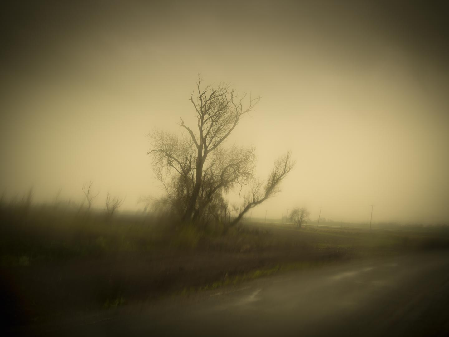 Juxtapoz Magazine - Todd Hido's Bright Black World