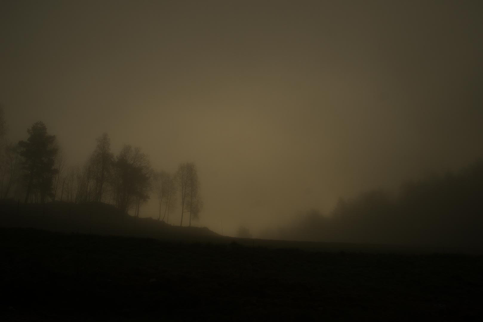 Juxtapoz Magazine - Todd Hido's Bright Black World