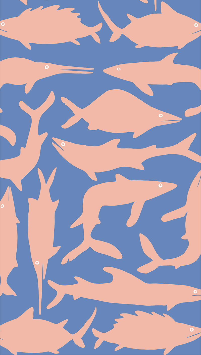 Carousel Image number 6