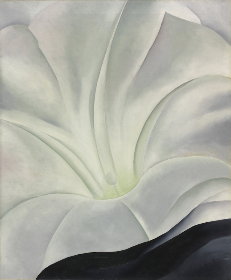 Morning Glory with Black, 1926. Georgia O