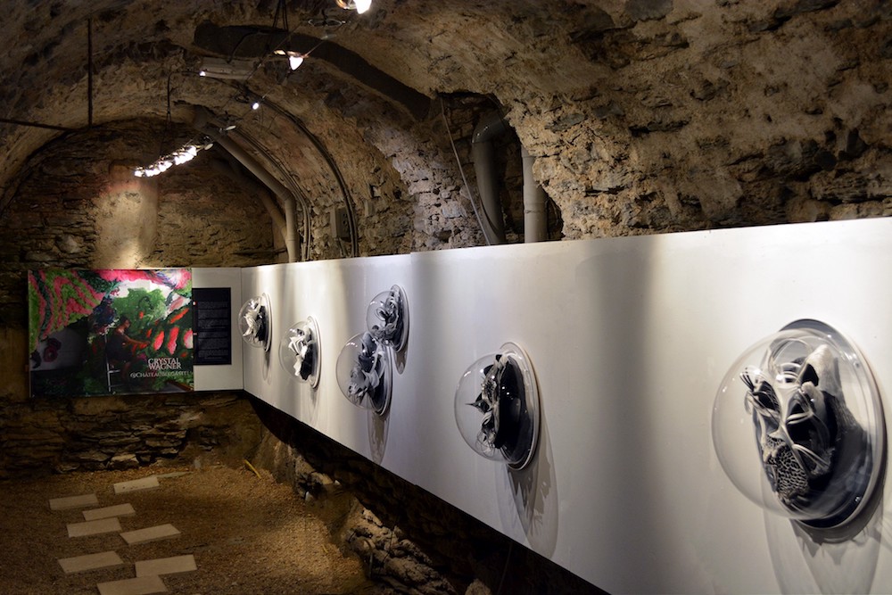 Carousel Image number 22