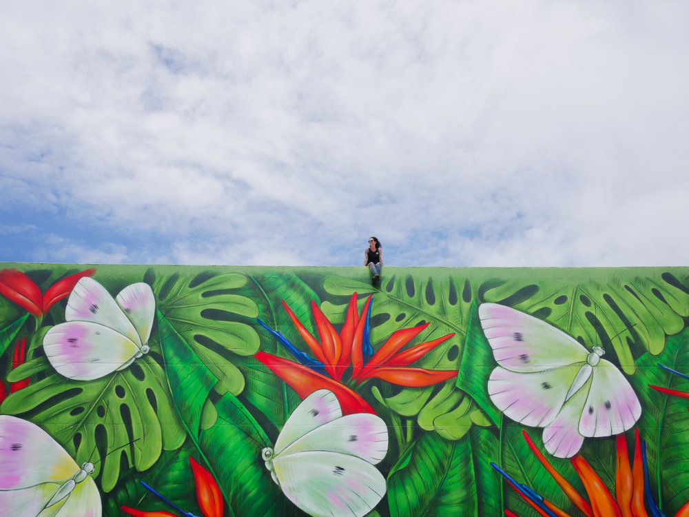 Carousel Image number 8