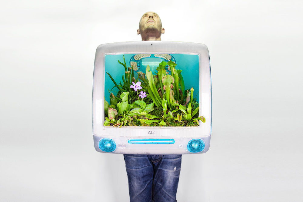 "Plant Your MAC!"
