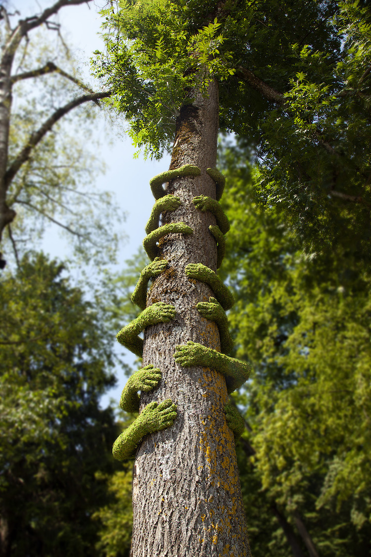 "Tree Hug"