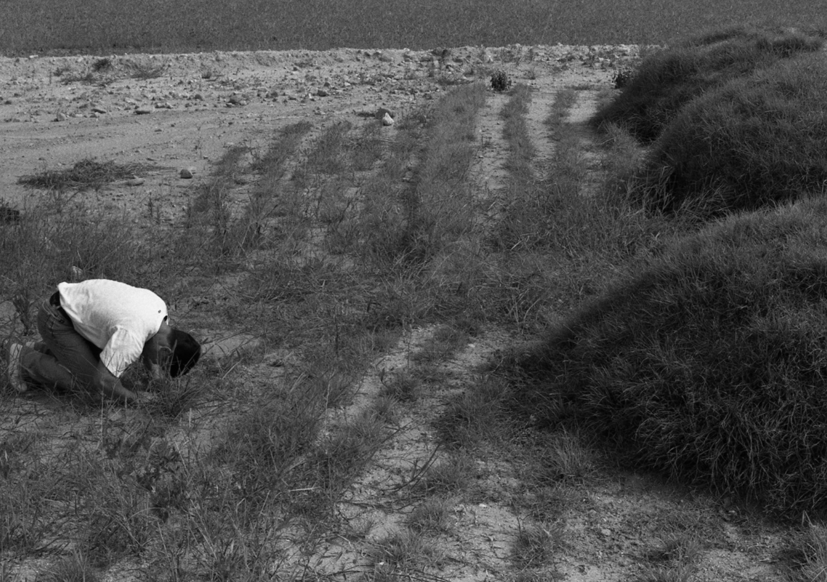 The Best Days © Seung-Woo Yang