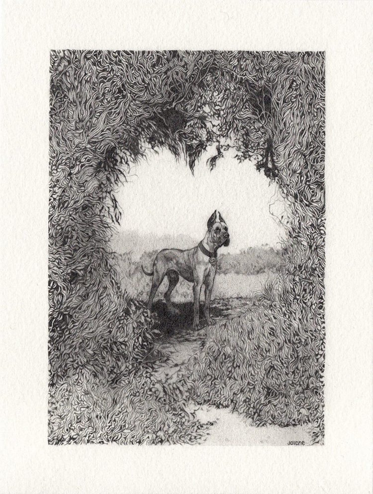 "SD," 2019. Graphite on Paper, 4.375" × 6.25".