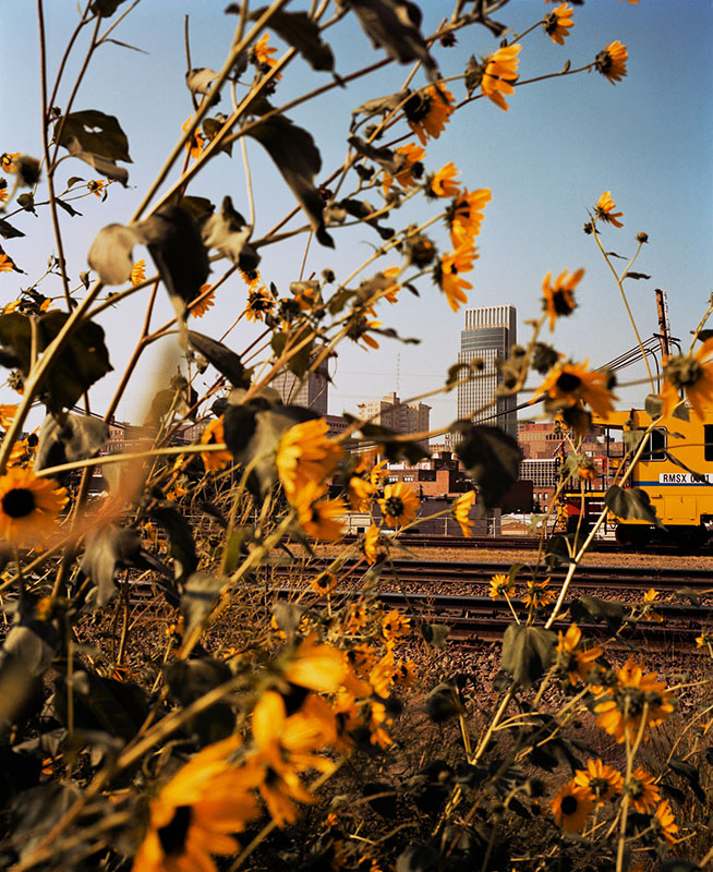 Omaha, NE, (Downtown Through Sunflowers) © Gregory Halpern