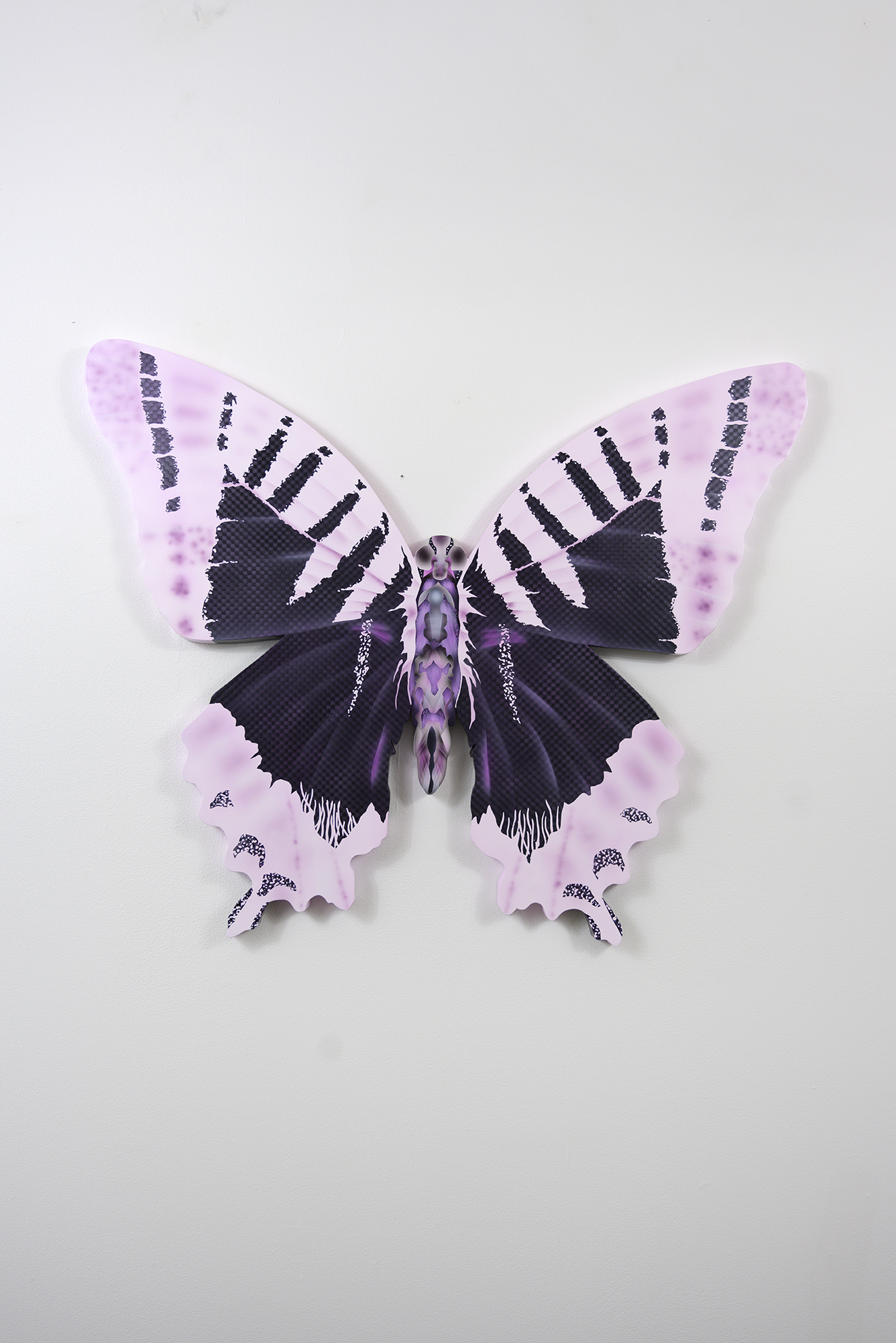 Carousel Image number 5