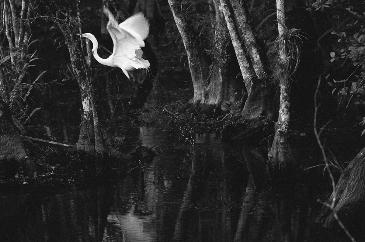 Carousel Image number 2