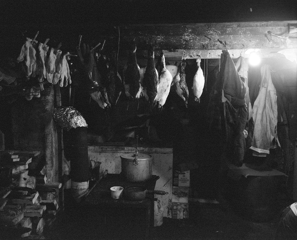 Carousel Image number 6