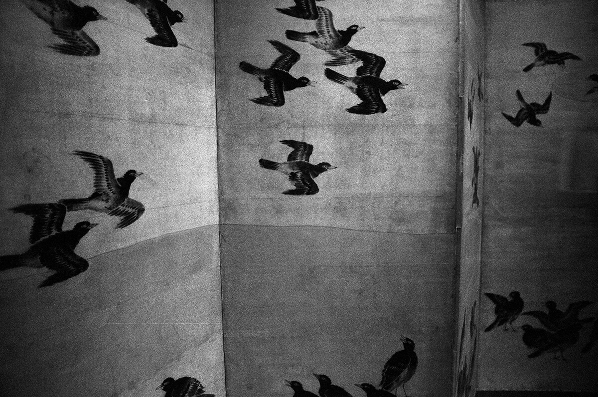 Carousel Image number 14