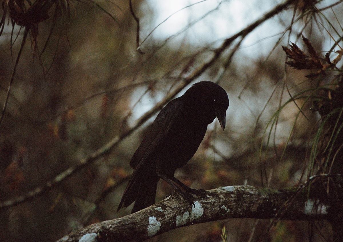 Carousel Image number 15