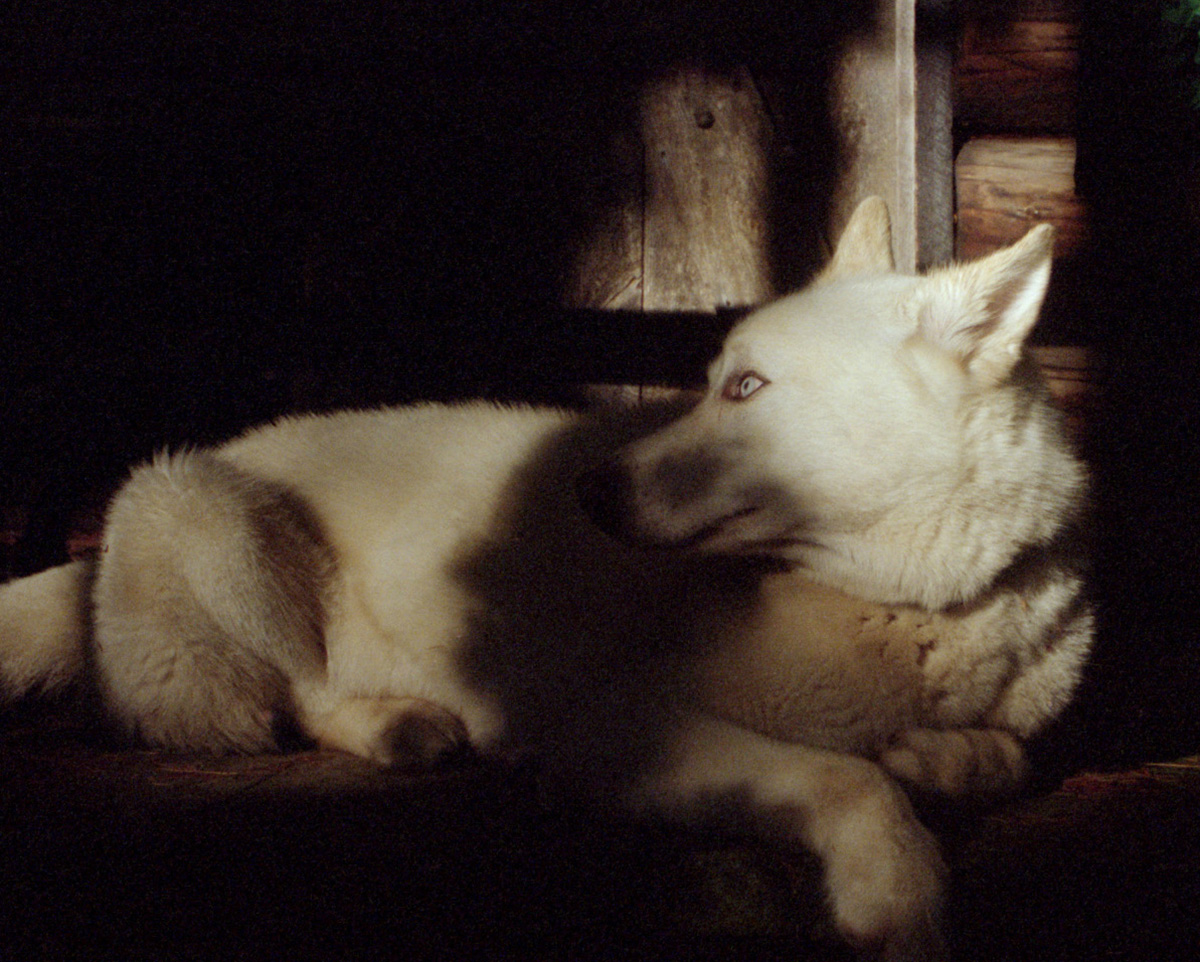 Carousel Image number 17