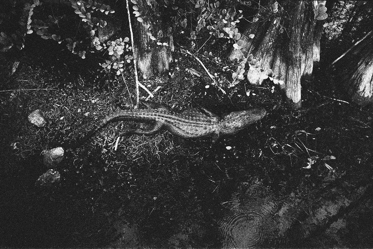 Carousel Image number 18