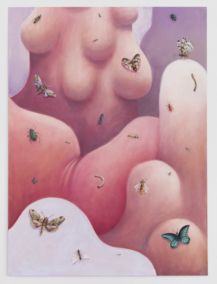 "Insects," 2019. Soft pastel on cardboard, 59.6 × 66.9 cm. Courtesy the Artist and Xavier Hufkens, Brussels