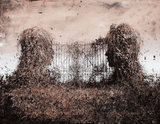 Carousel Image number 5