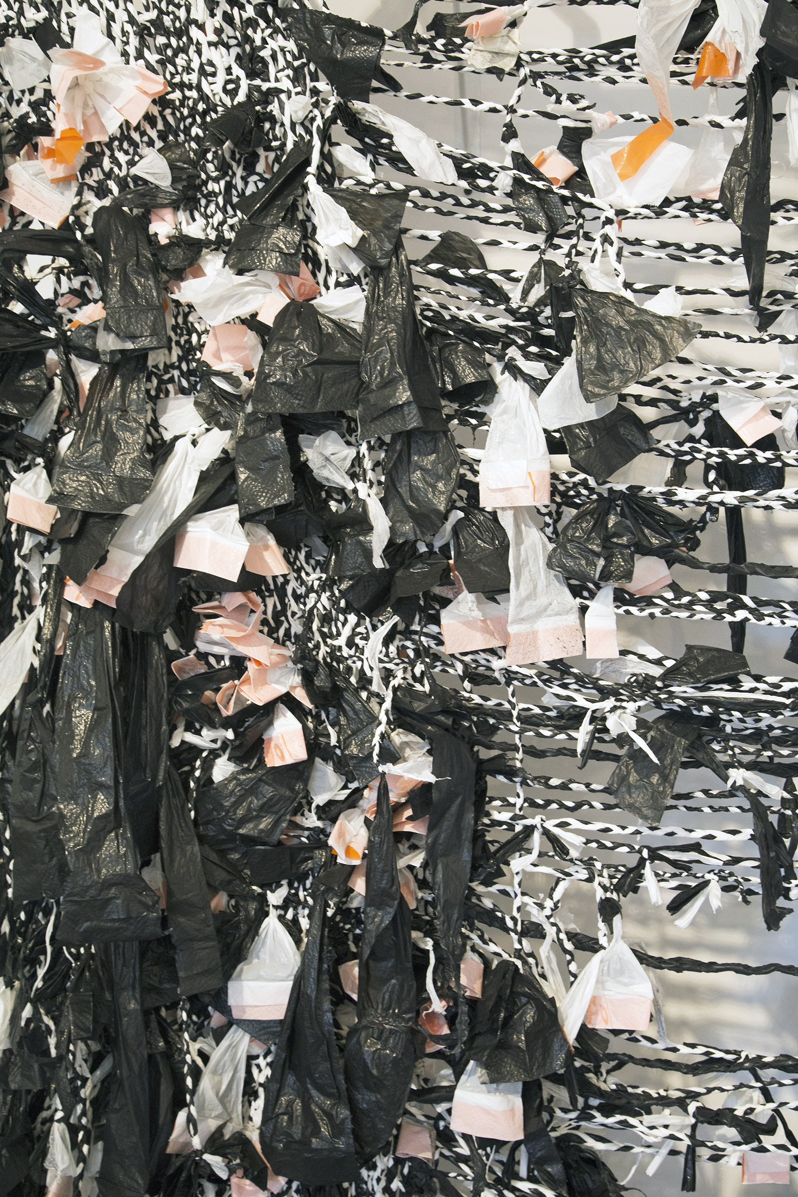 Carousel Image number 11