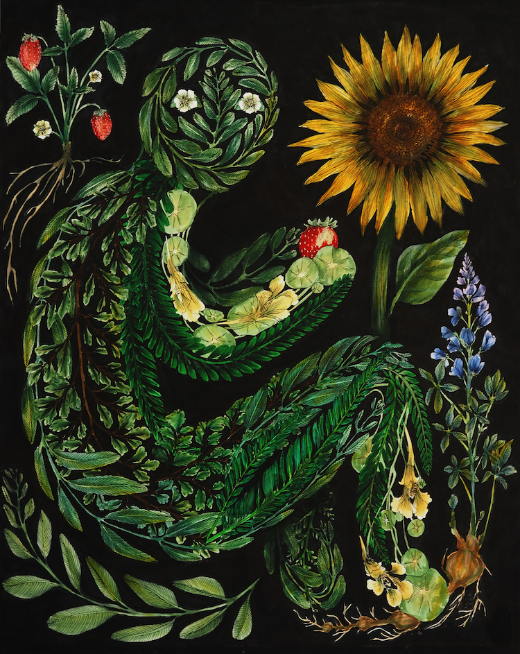 Carousel Image number 22