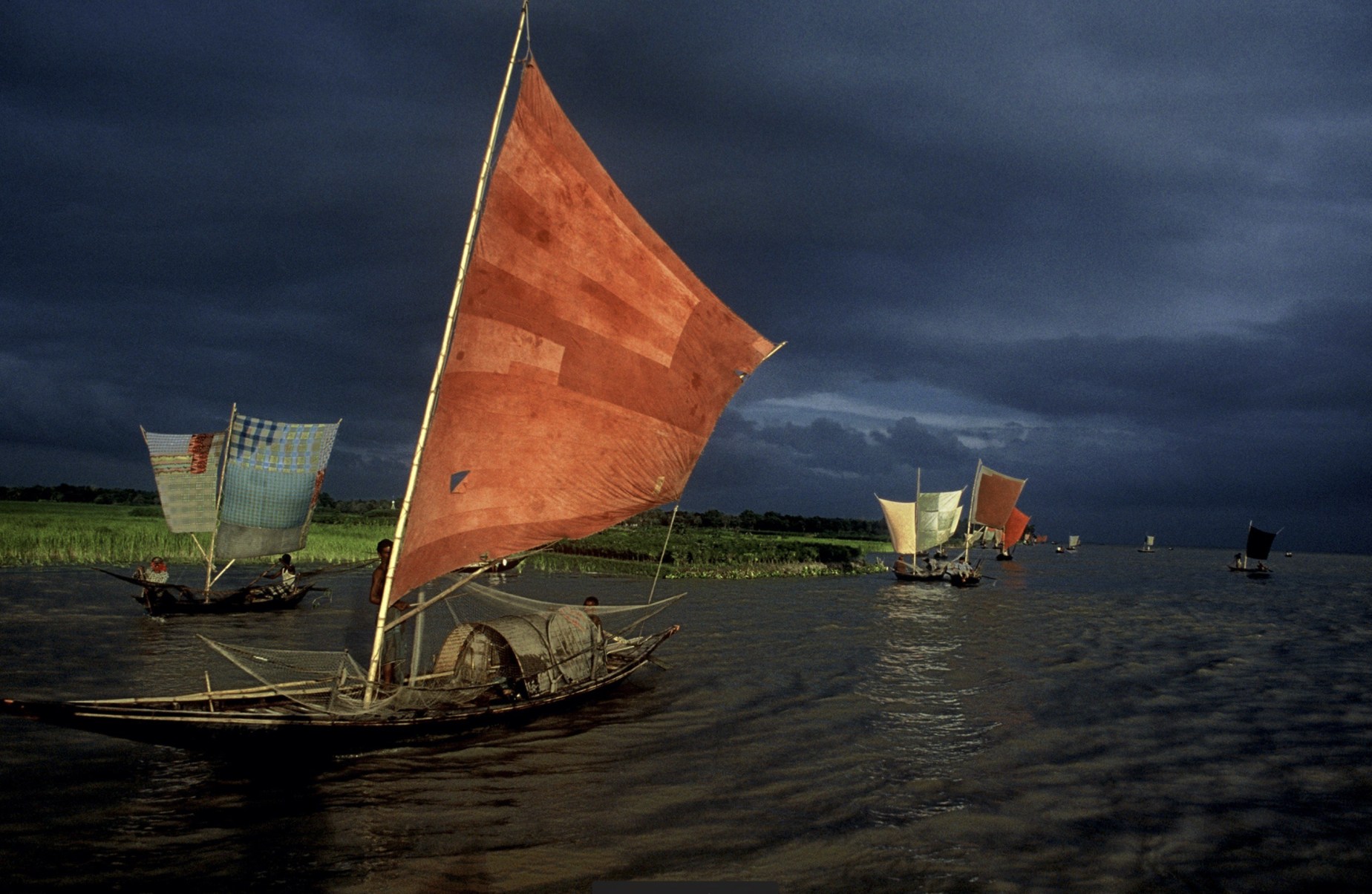 "Sailboat FishingforIlish; Daulatdia, Bangladesh" 2001.
