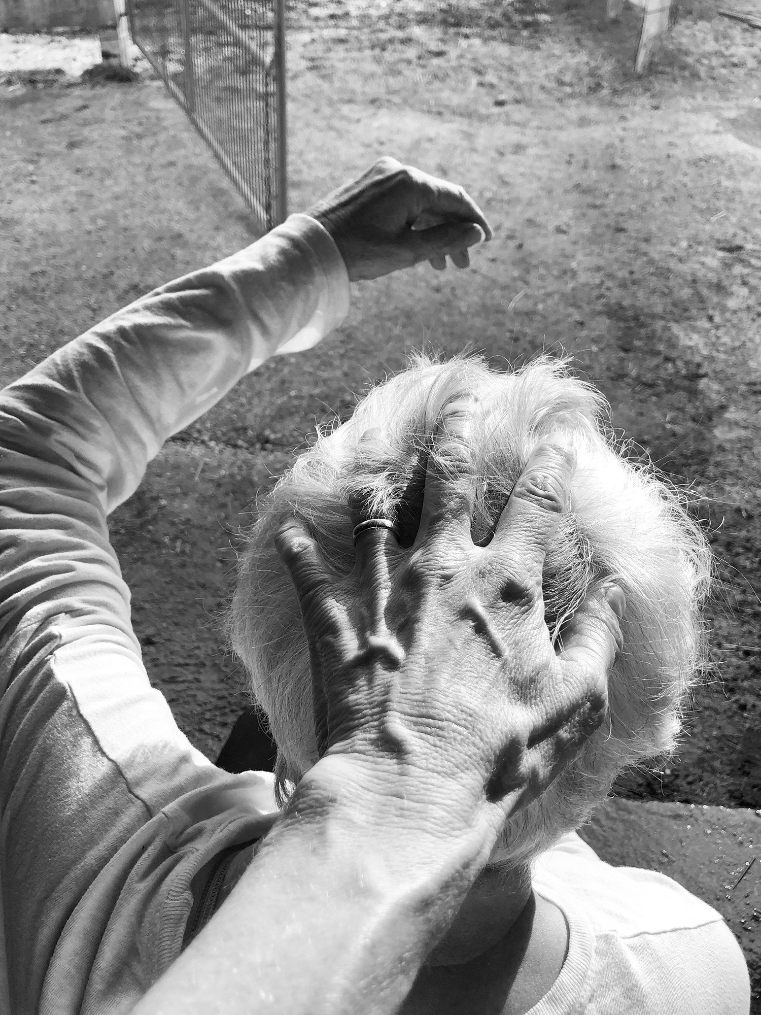 Carousel Image number 6