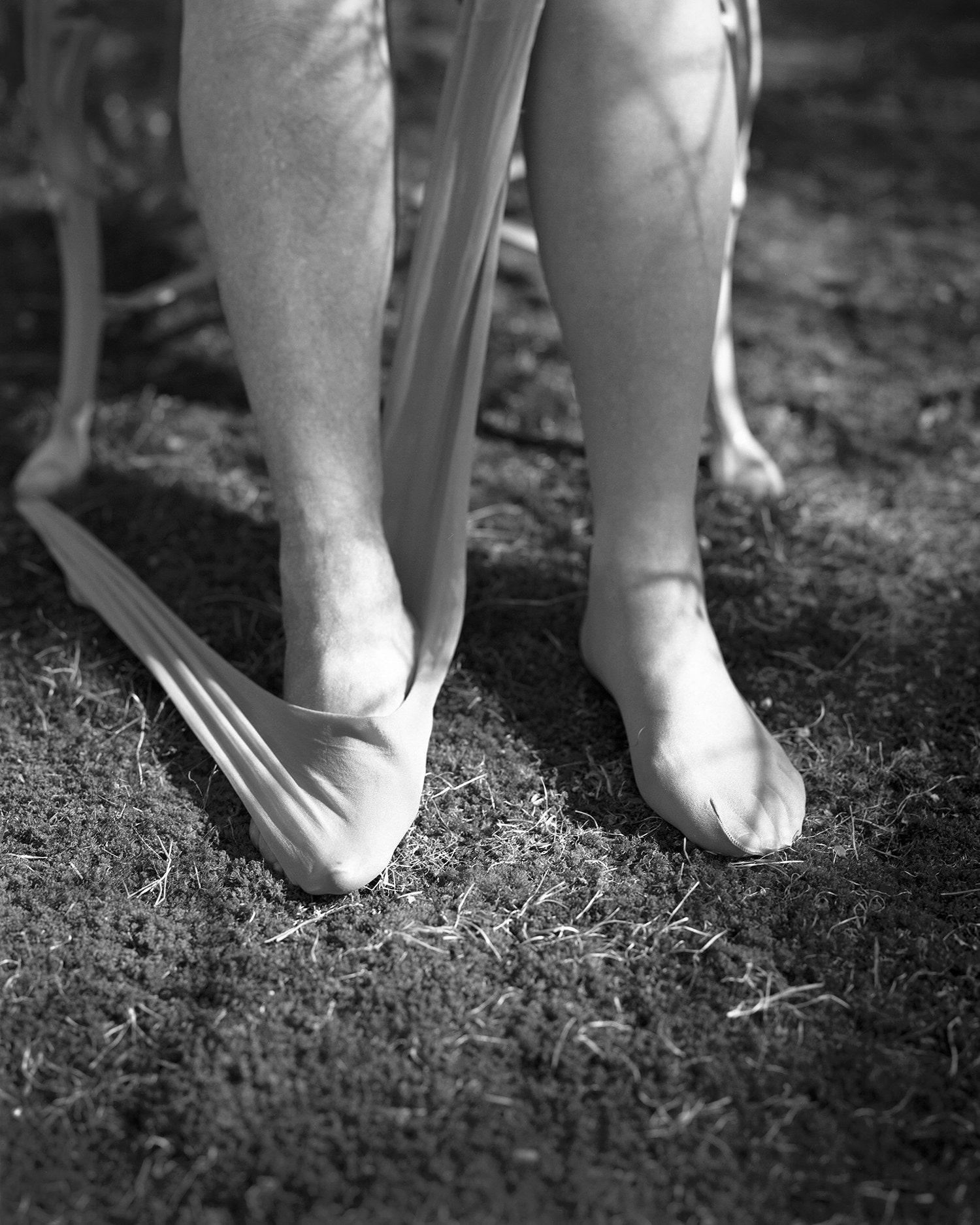 Carousel Image number 7