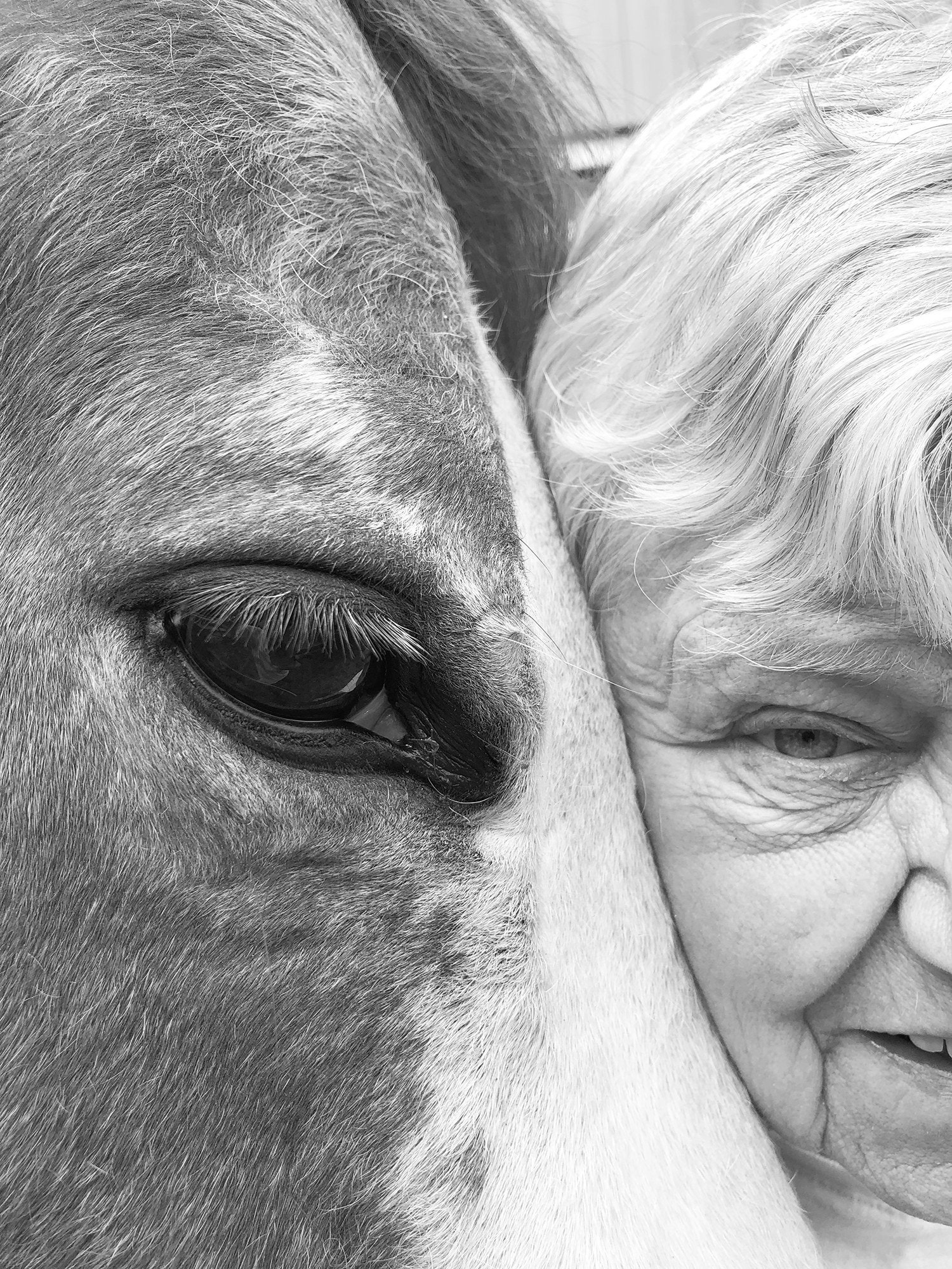 Carousel Image number 11