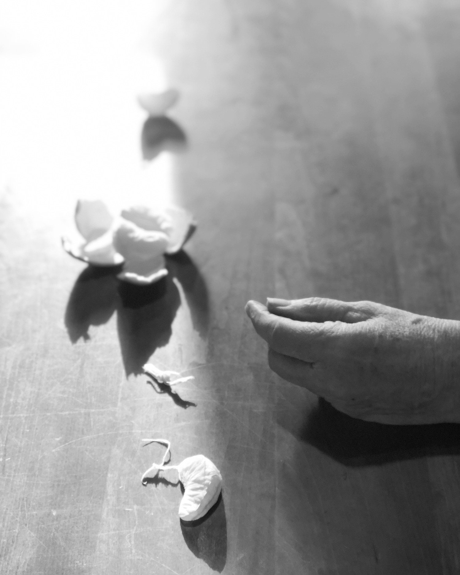 Carousel Image number 12