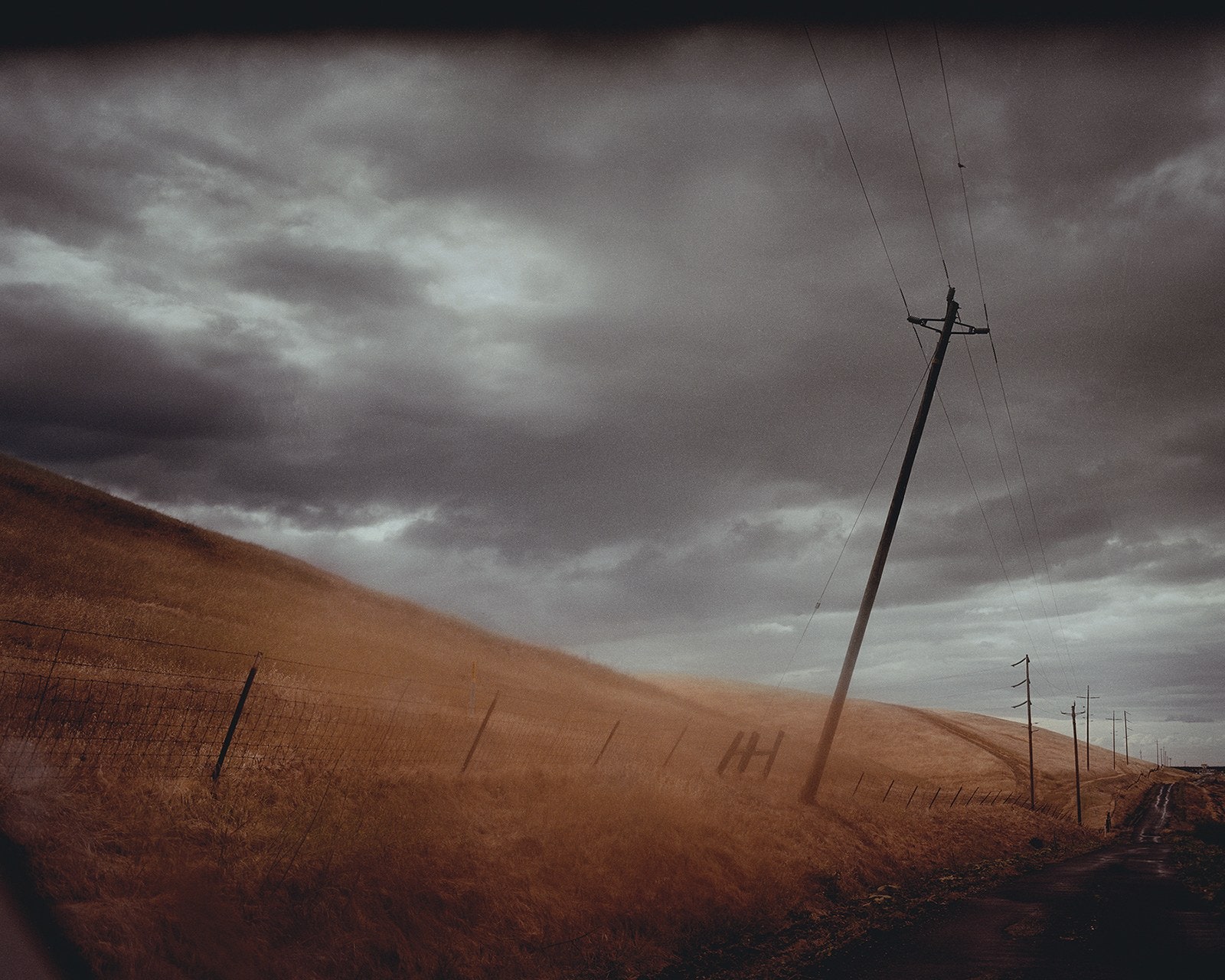 © Todd HIdo