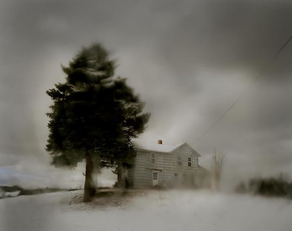 © Todd HIdo