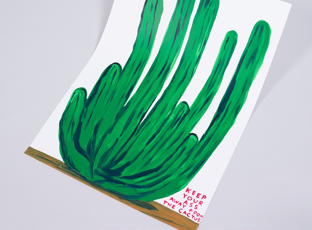 Carousel Image number 5