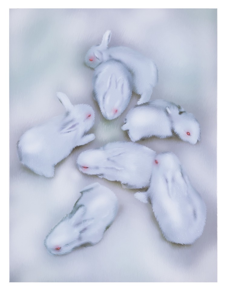 Carousel Image number 3