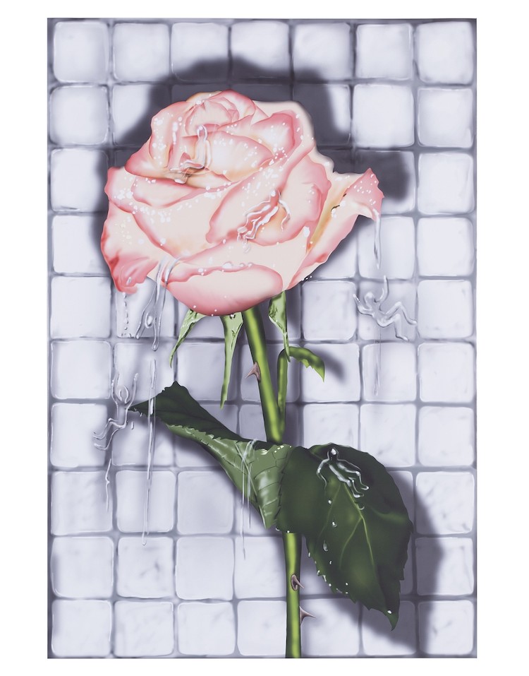 Carousel Image number 8