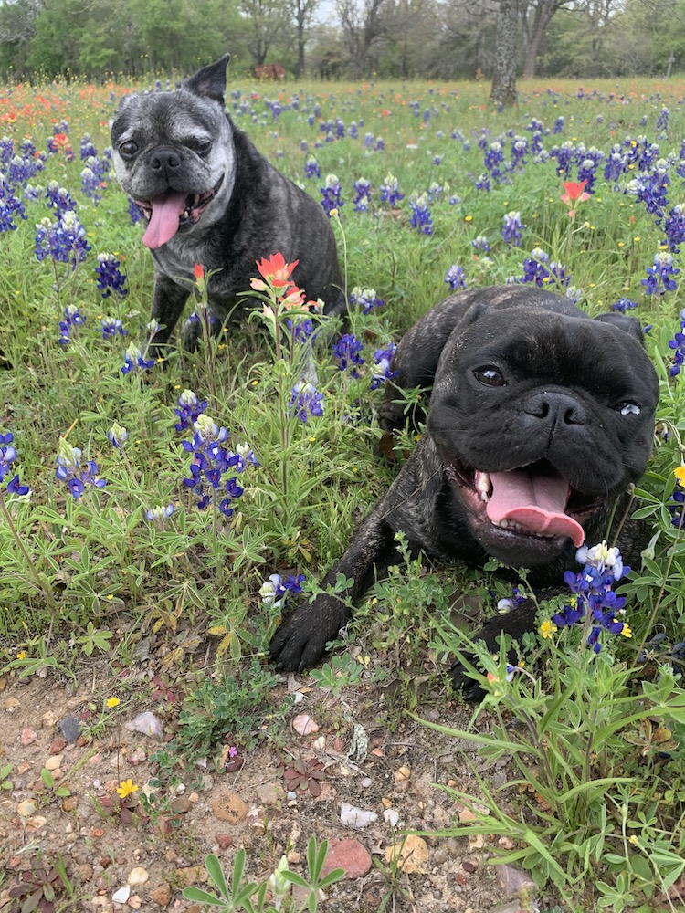 Carousel Image number 4