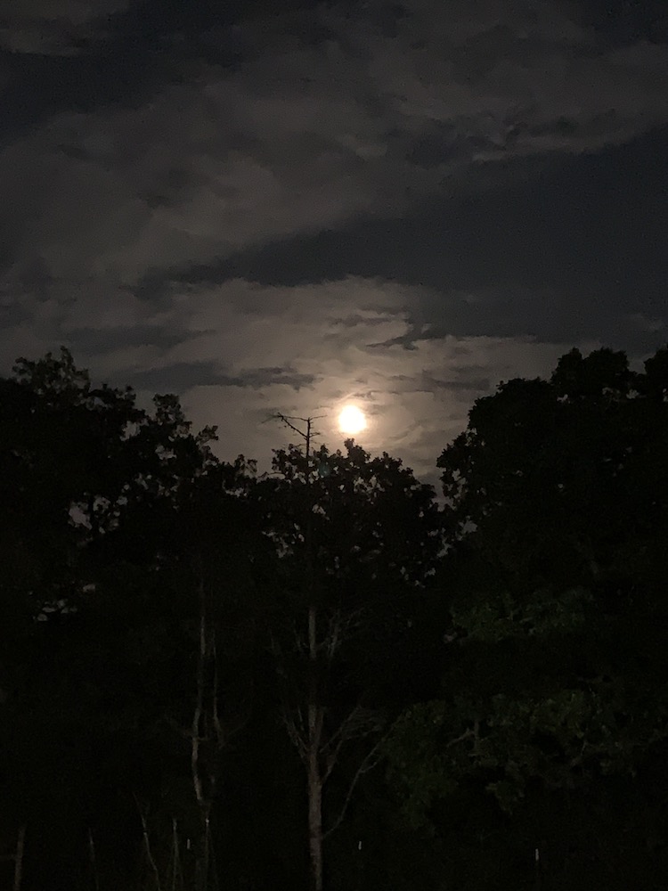 Carousel Image number 7