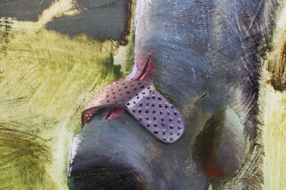 Carousel Image number 4