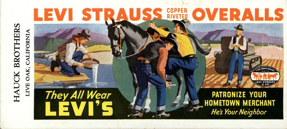 Levi strauss hirsch clearance strauss