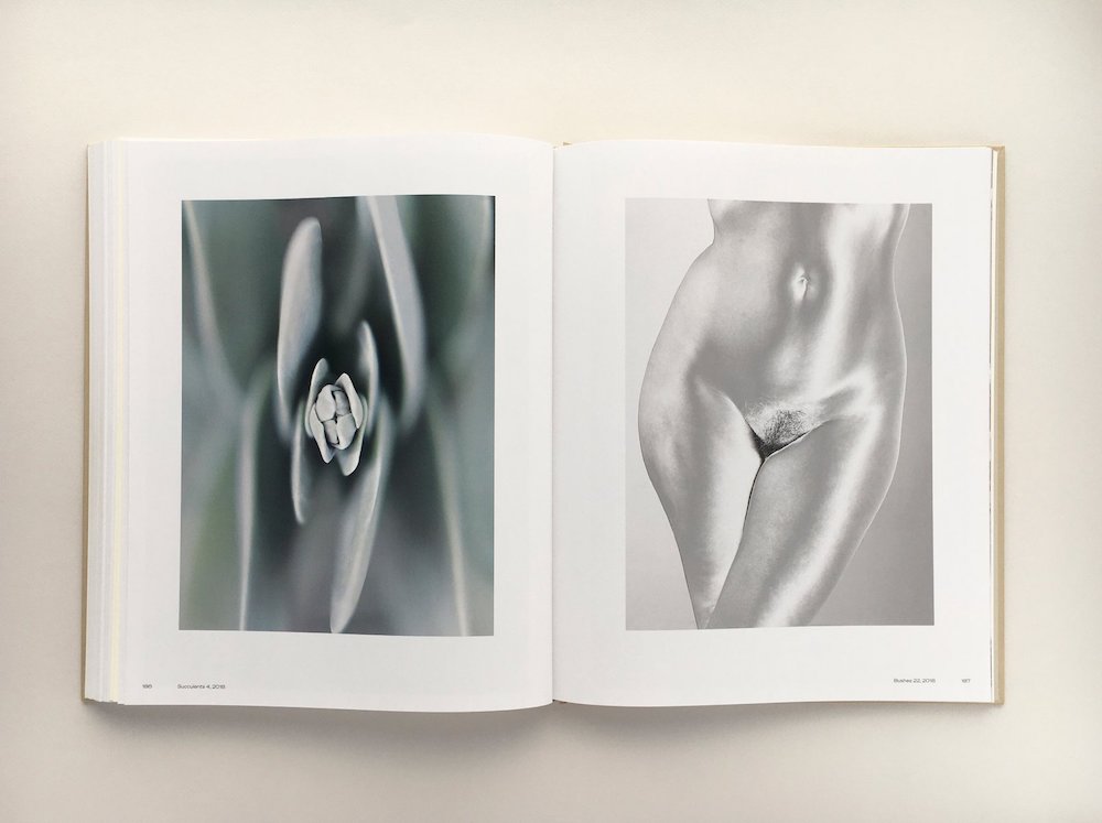 Carousel Image number 4