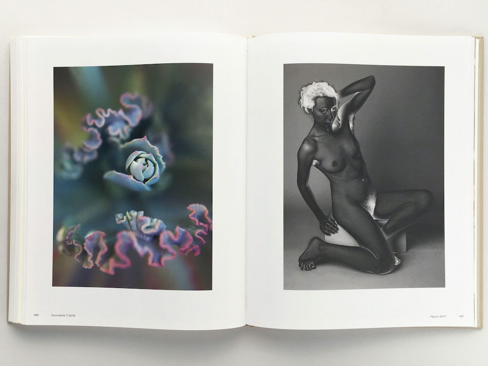 Carousel Image number 7