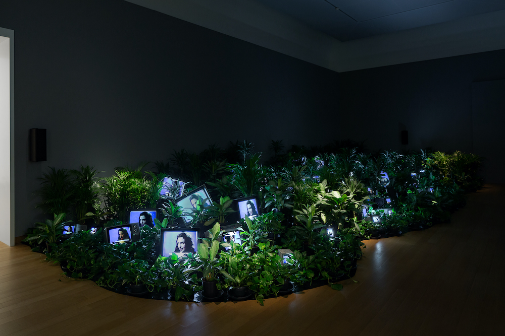 TV Garden, 1974–77/2002 (installation view, Stedelijk Museum Amsterdam); Kunstsammlung Nordrhein-Westfalen, Düsseldorf; © Estate of Nam June Paik; photo: Peter Tijhuis