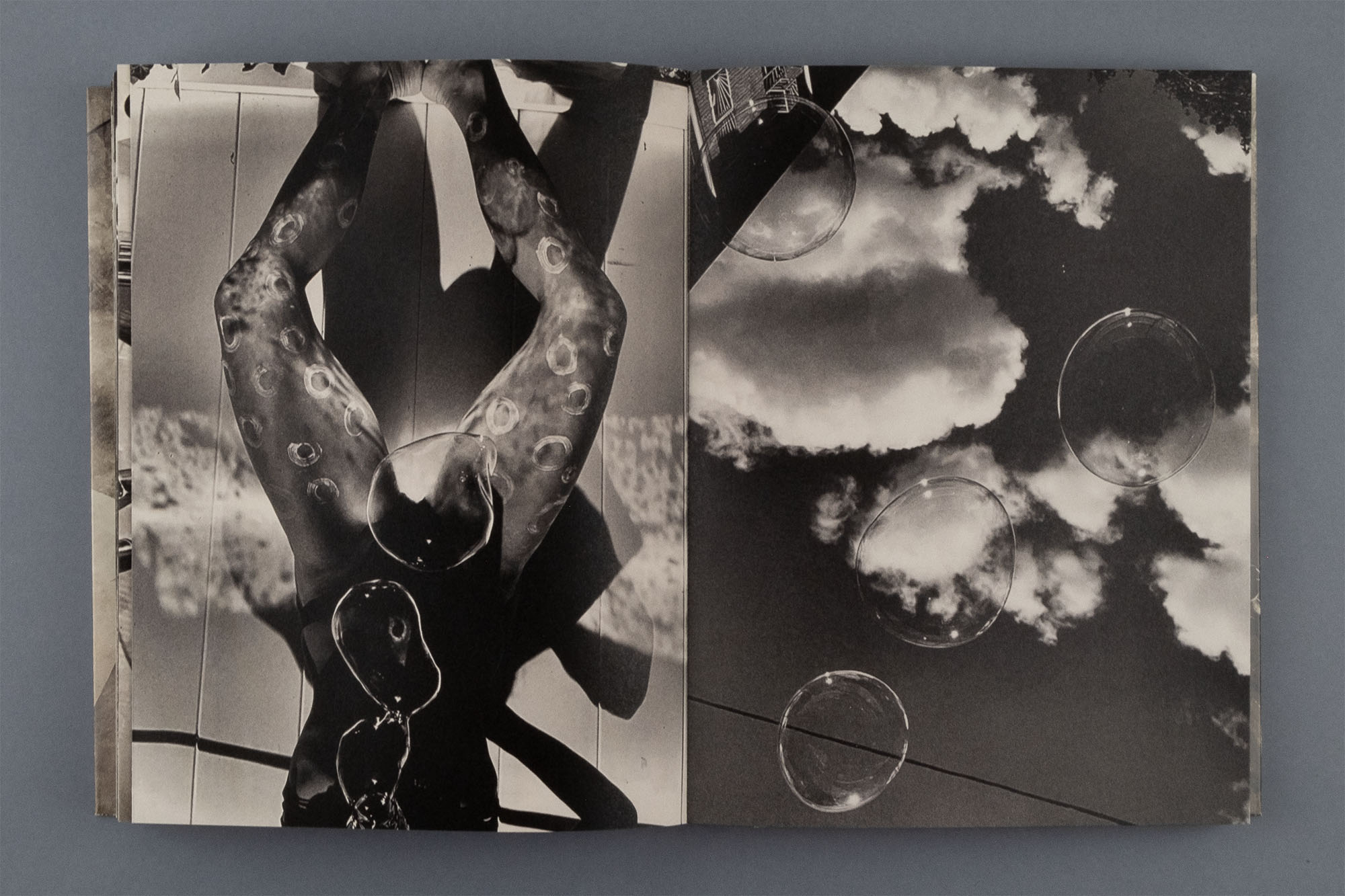 © Katie Burnett / APE