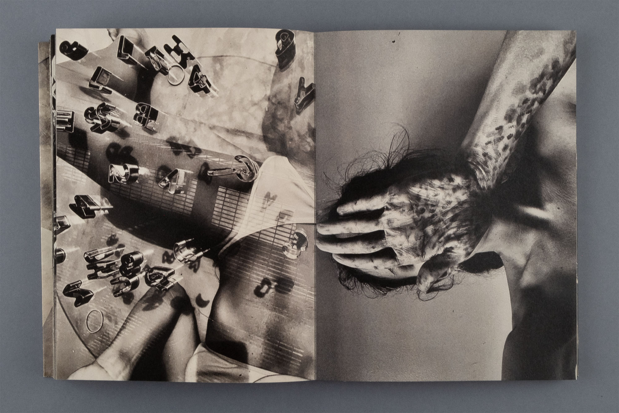 © Katie Burnett / APE