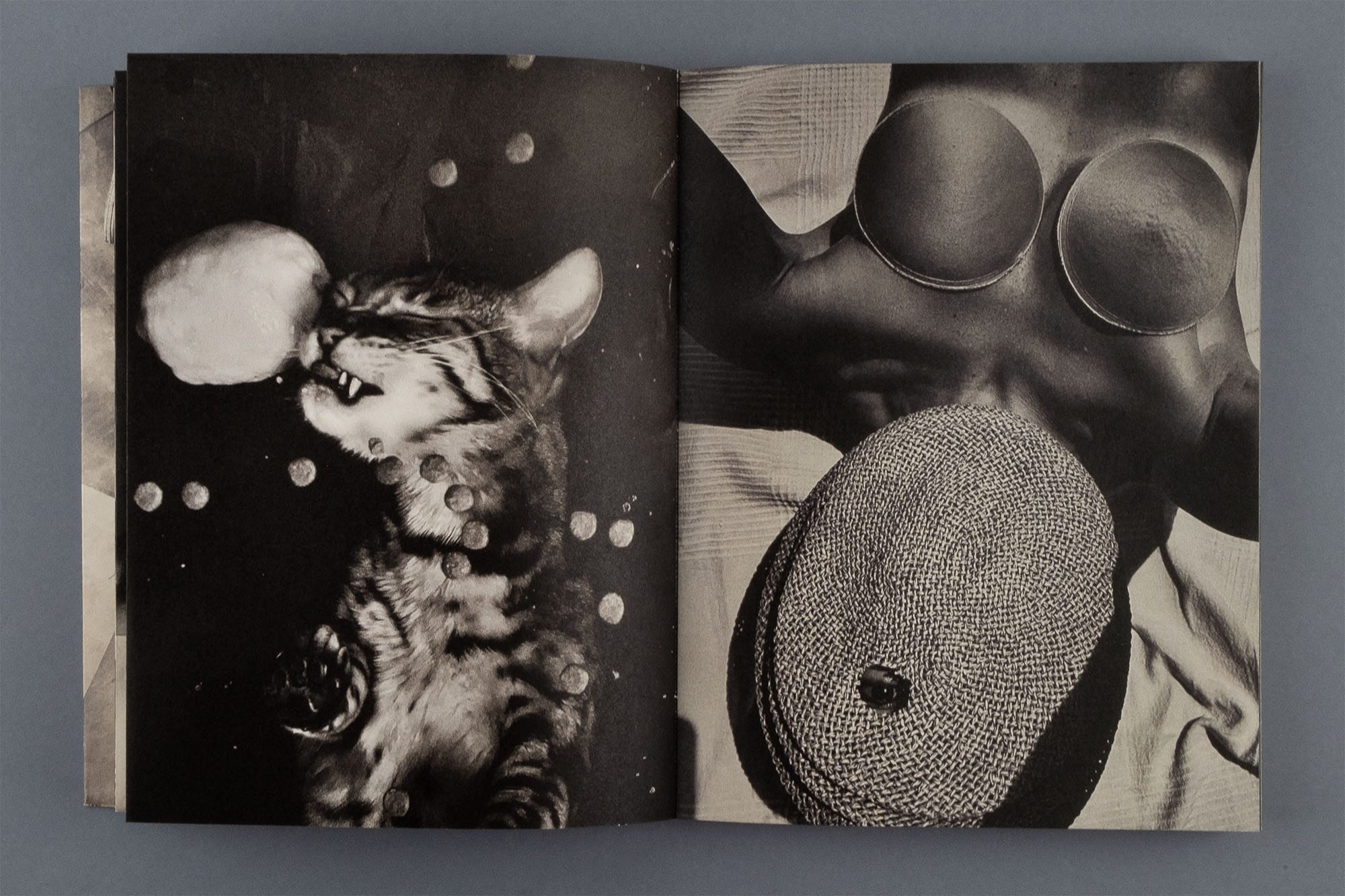 © Katie Burnett / APE