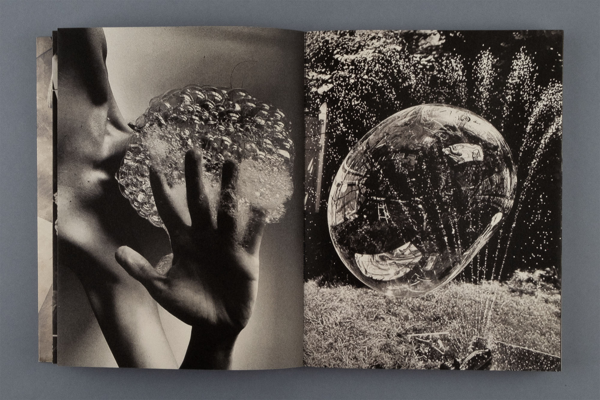 © Katie Burnett / APE