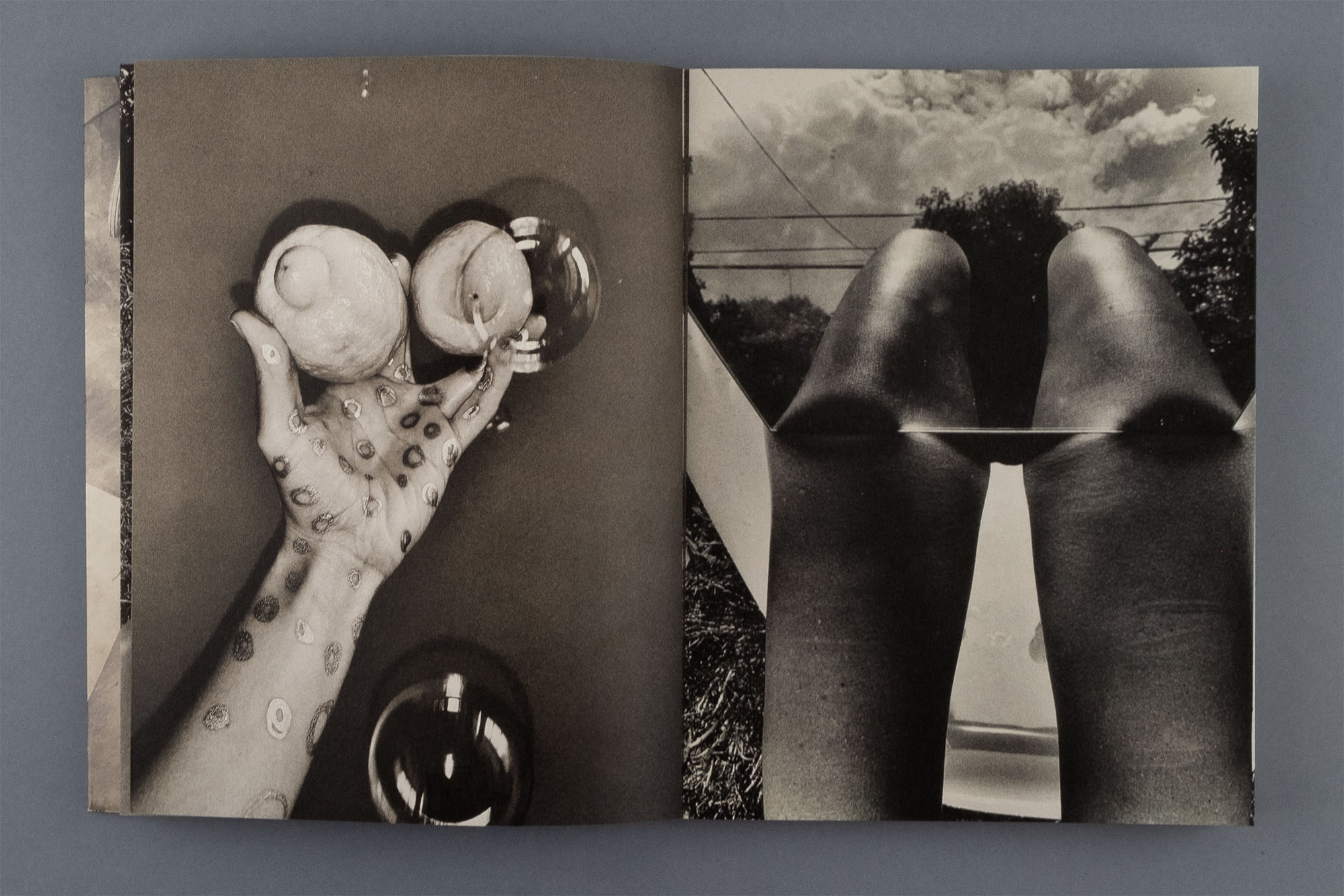 © Katie Burnett / APE