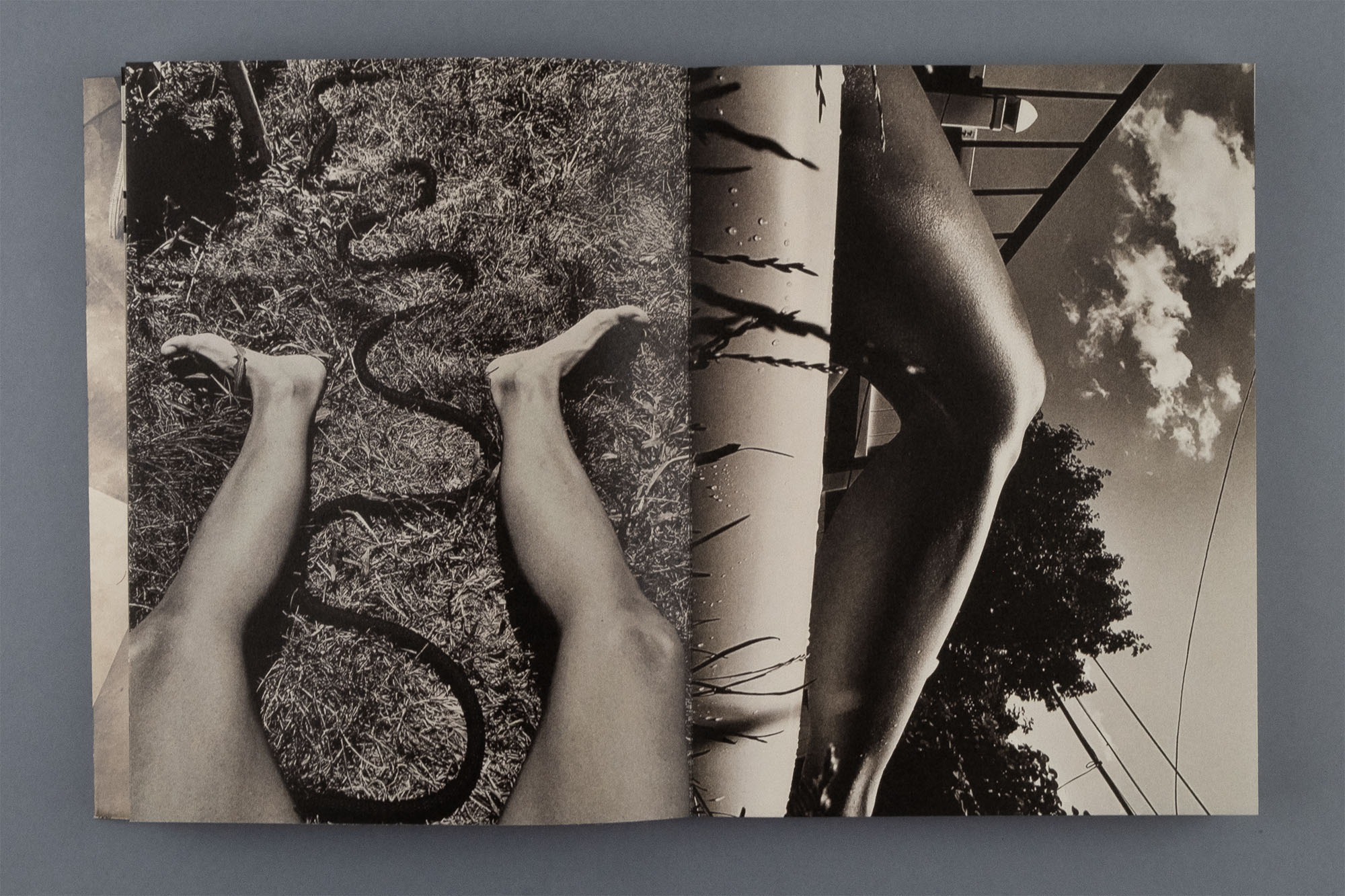 © Katie Burnett / APE