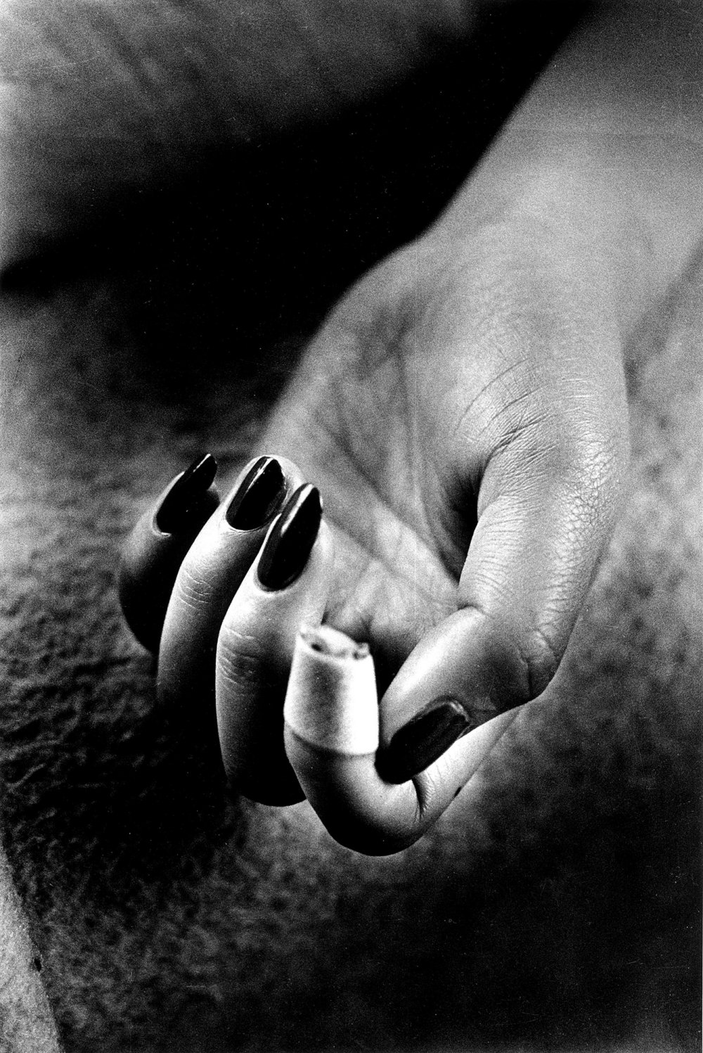 © Daido Moriyama