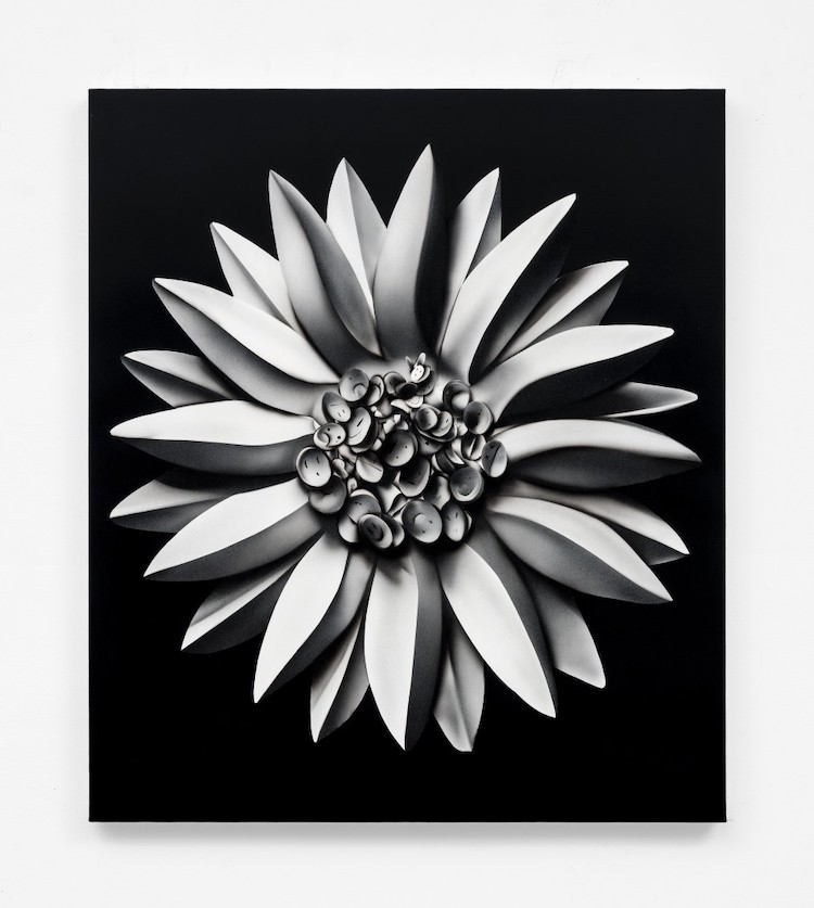 Carousel Image number 4